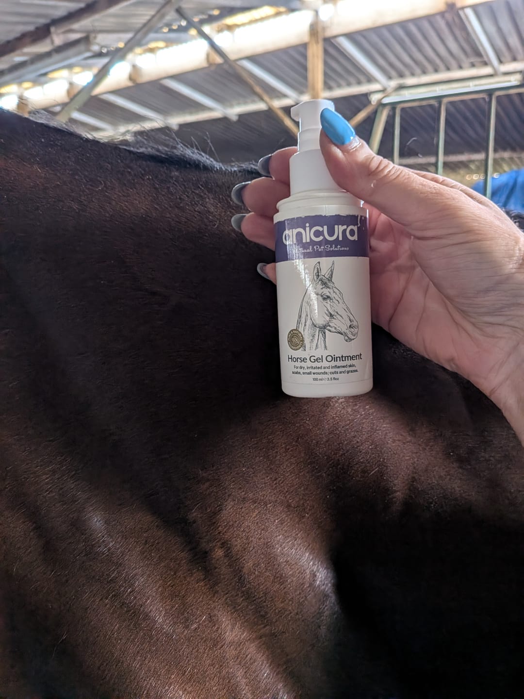 Customer photo review of Horse Gel