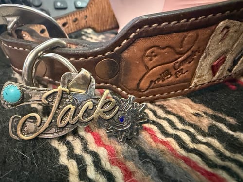 Customer photo review of Custom Dog Tag Design
