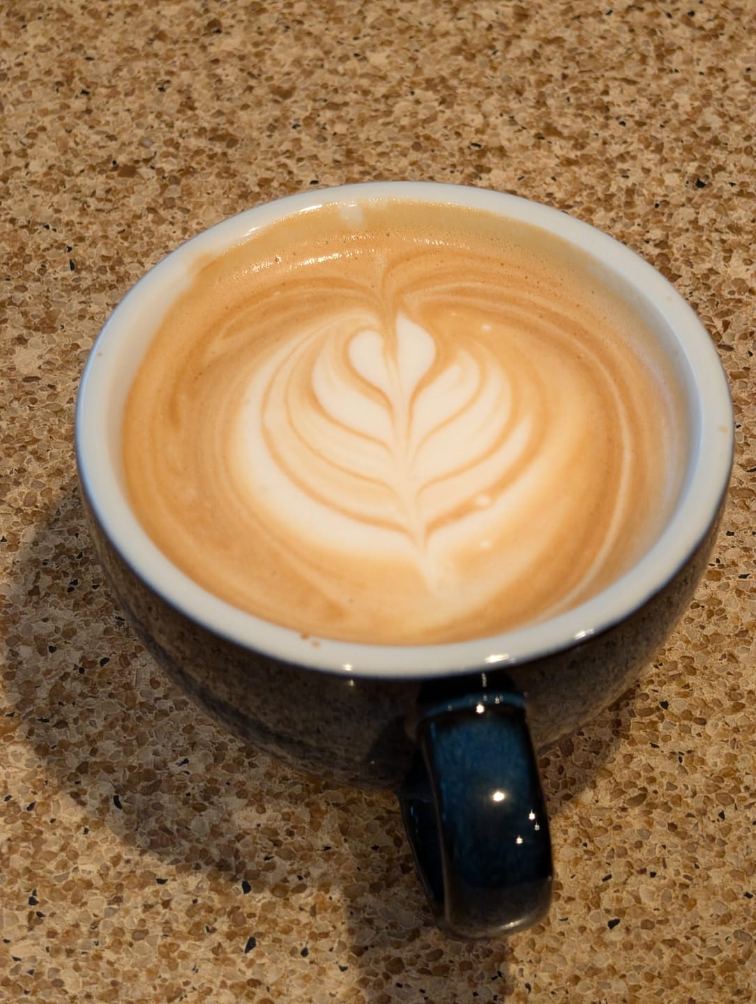 Customer photo review of COSTA RICAN ESPRESSO COFFEE 2LB
