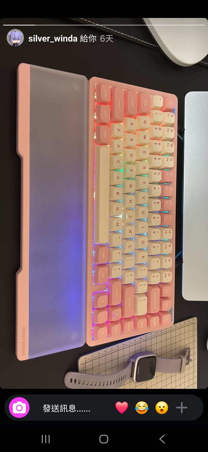 Customer photo review of Nuphy Halo系列 雙色手托
