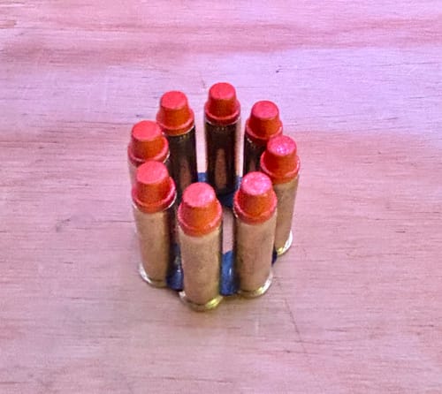 Customer photo review of SnapPoint 38 Special Snap Caps (Set of 20)– Real-Weight Dry Fire Dummy Rounds w/ SnapPlug Primer