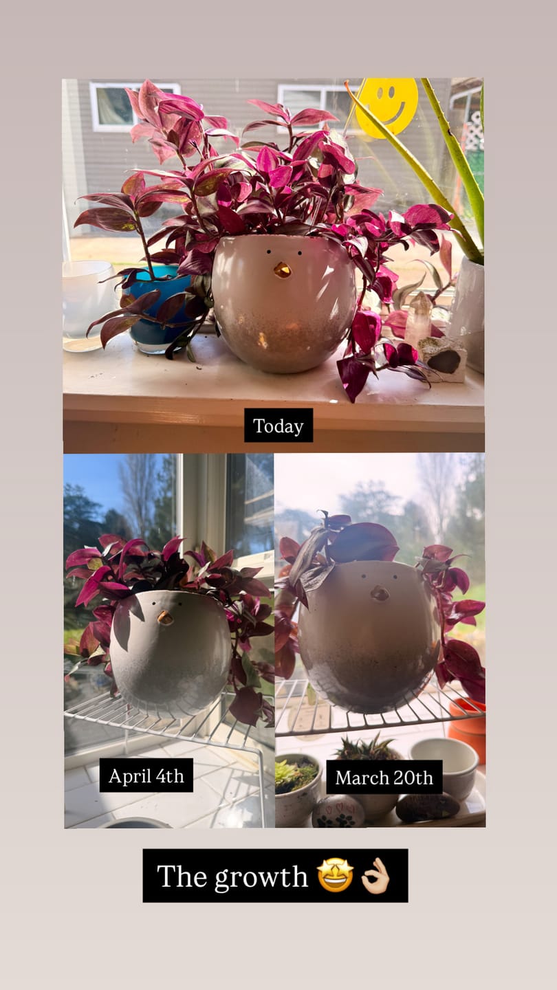 Customer photo review of Hydration Renew
