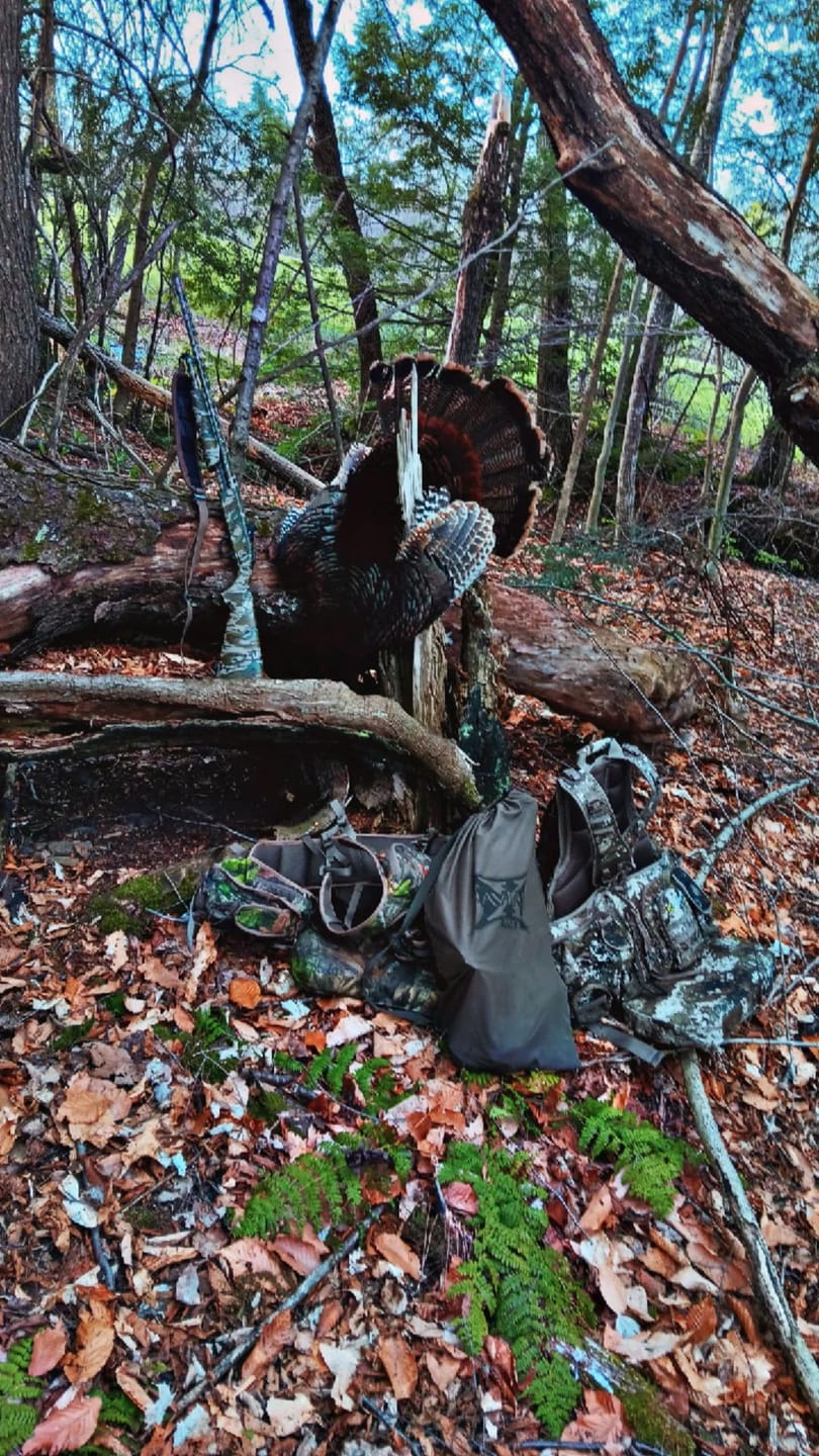 Customer photo review of StrutBack Turkey Hunting Vest with Kickstand | Long Sit Turkey Vest Seat Cushion | Green & Camo Hunting Vest