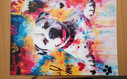 Customer photo review of Personalised Poster With Dog or Cat - Graffiti