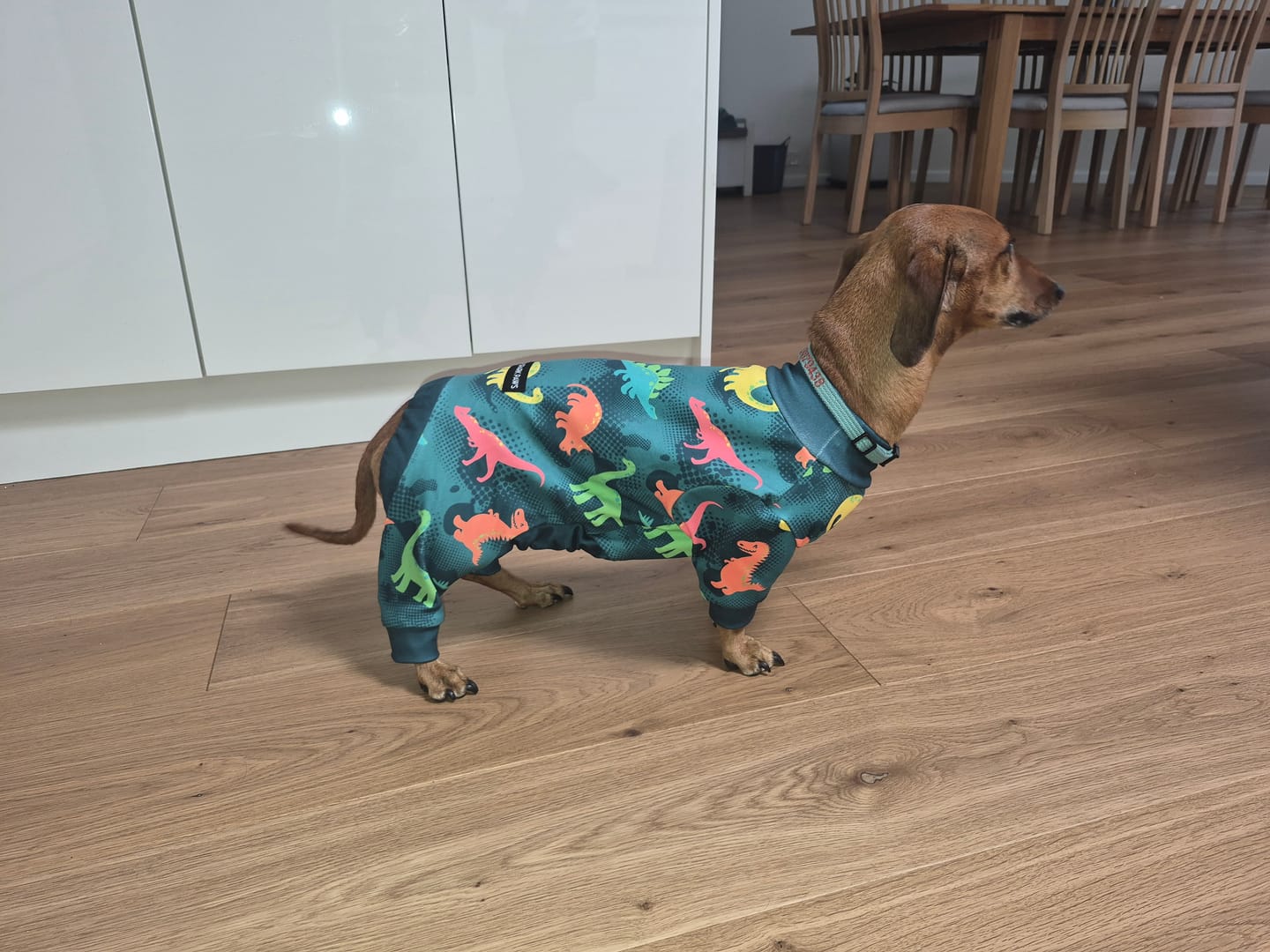 Customer photo review of Dog Pajama - Dinosaurs