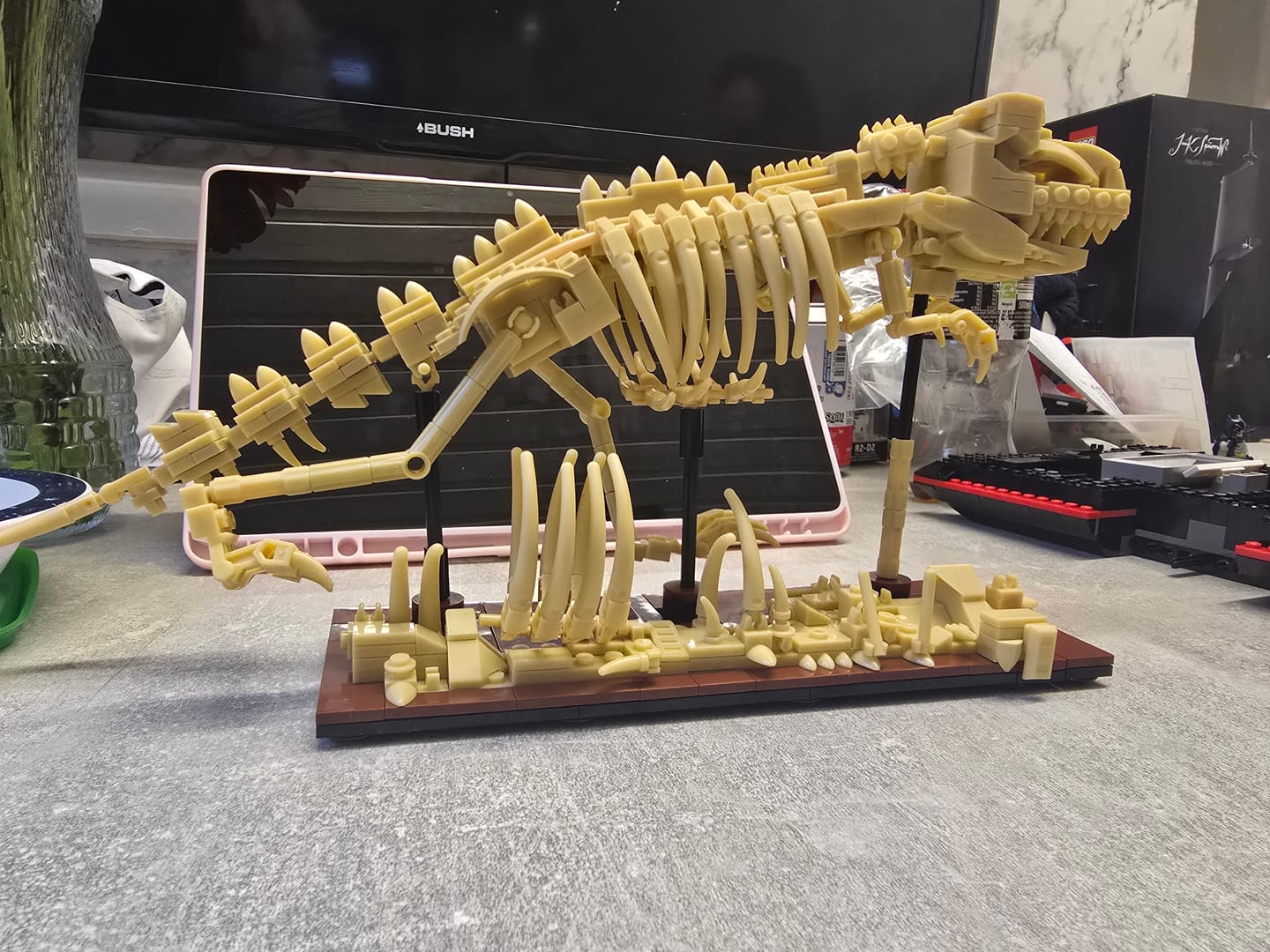 Customer photo review of Dinosaur Fossils - Velociraptor by CaDA