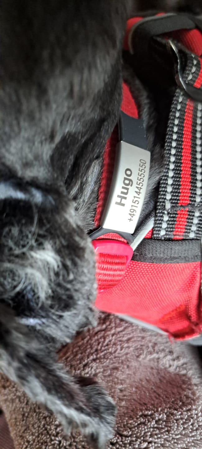 Customer photo review of Klapperfreie Hundemarke Silikonslider mit Edelstahl-Schild für Halsbänder inkl. GRATIS Gravur