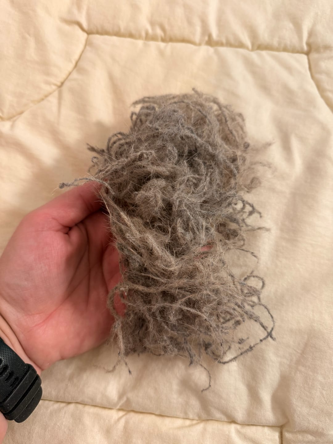 Customer photo review of PolsterHeld™