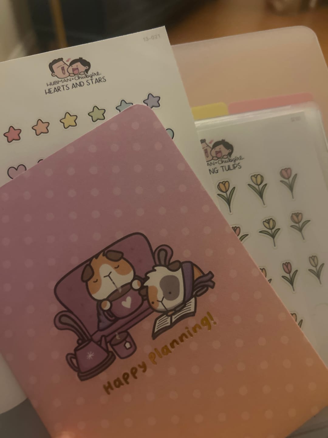 Customer photo review of Hearts and Stars Planner Stickers