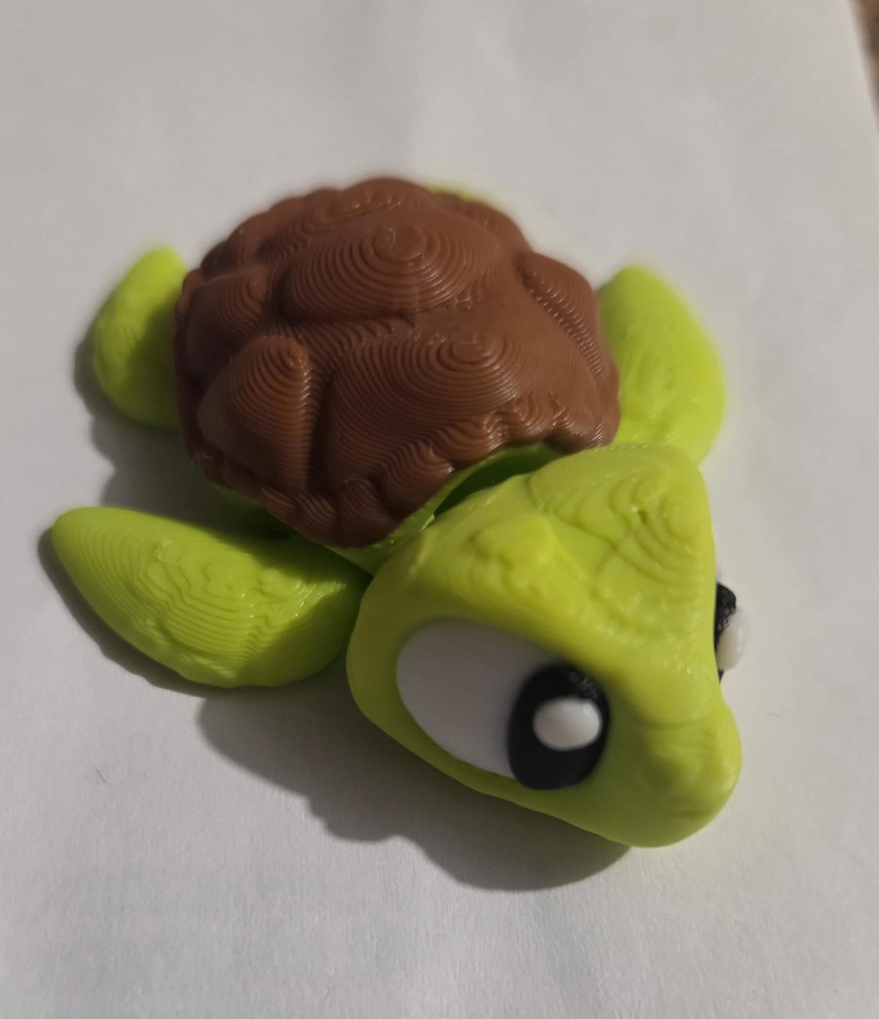 Customer photo review of Sea Turtle
