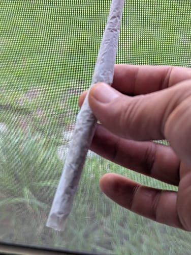 Super Lemon Haze - Minis - 28 Grams - Sativa photo review