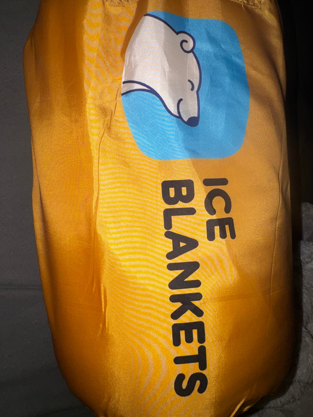 Customer photo review of The Ice Blanket
