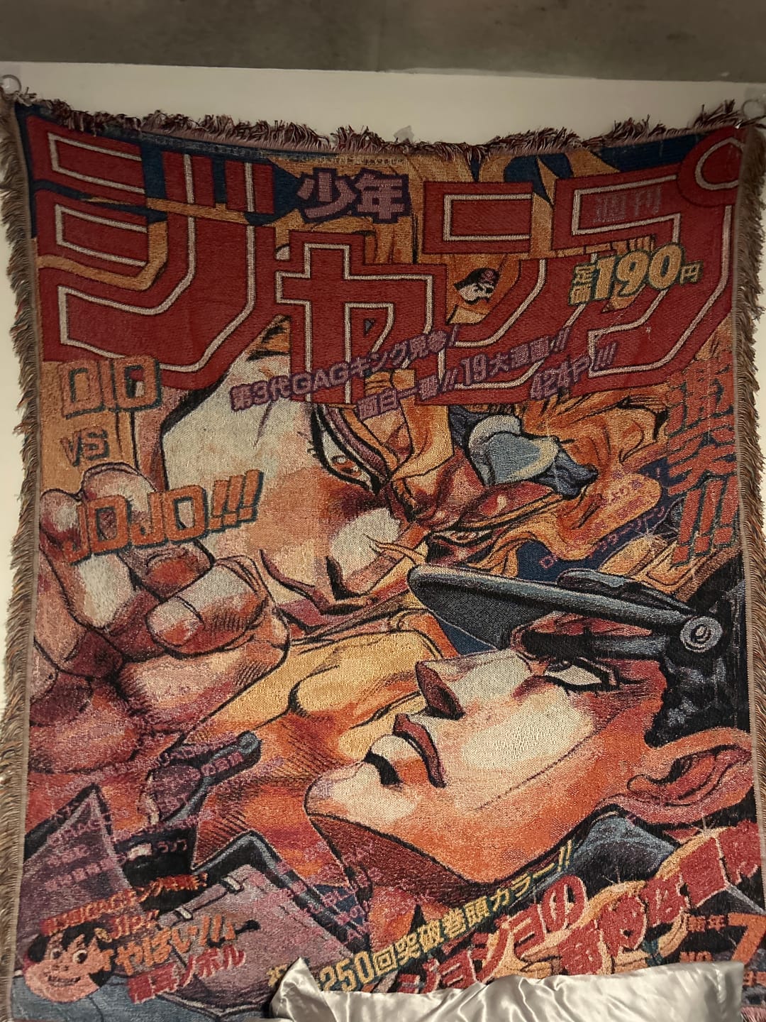 Customer photo review of Joe Woven Blanket Tapestry