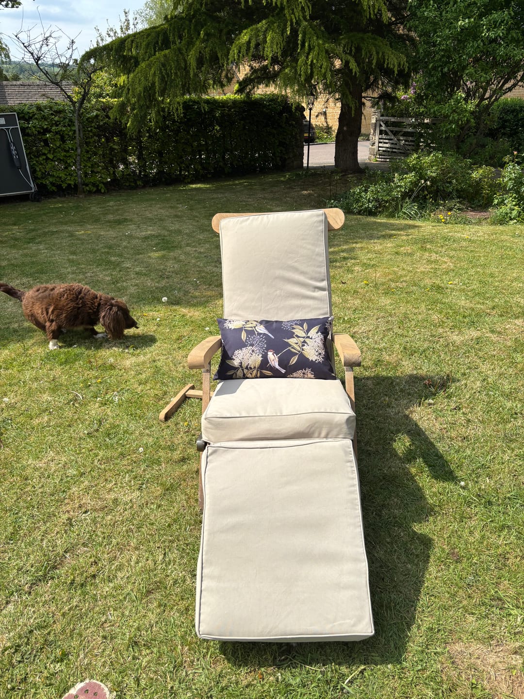 Customer photo review of Outdoor Garden Waterproof Rectangle Cushion - Birds On Elderflower