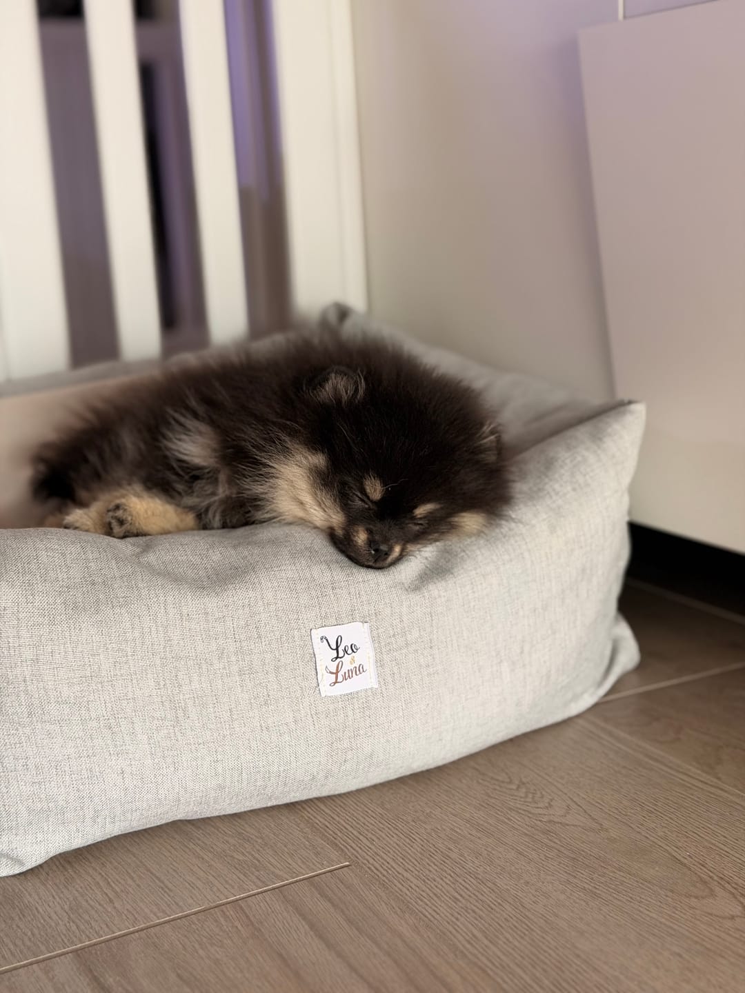 Customer photo review of Divanetto Mattias Grigio Chiaro (Soft Touch)