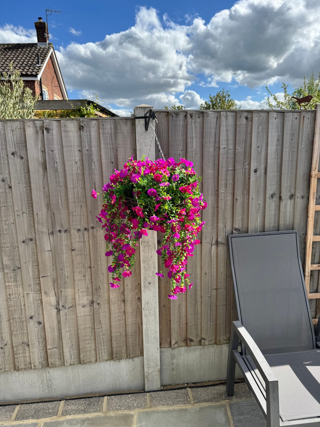 Customer photo review of Outdoor Hanging Petunia Basket - White