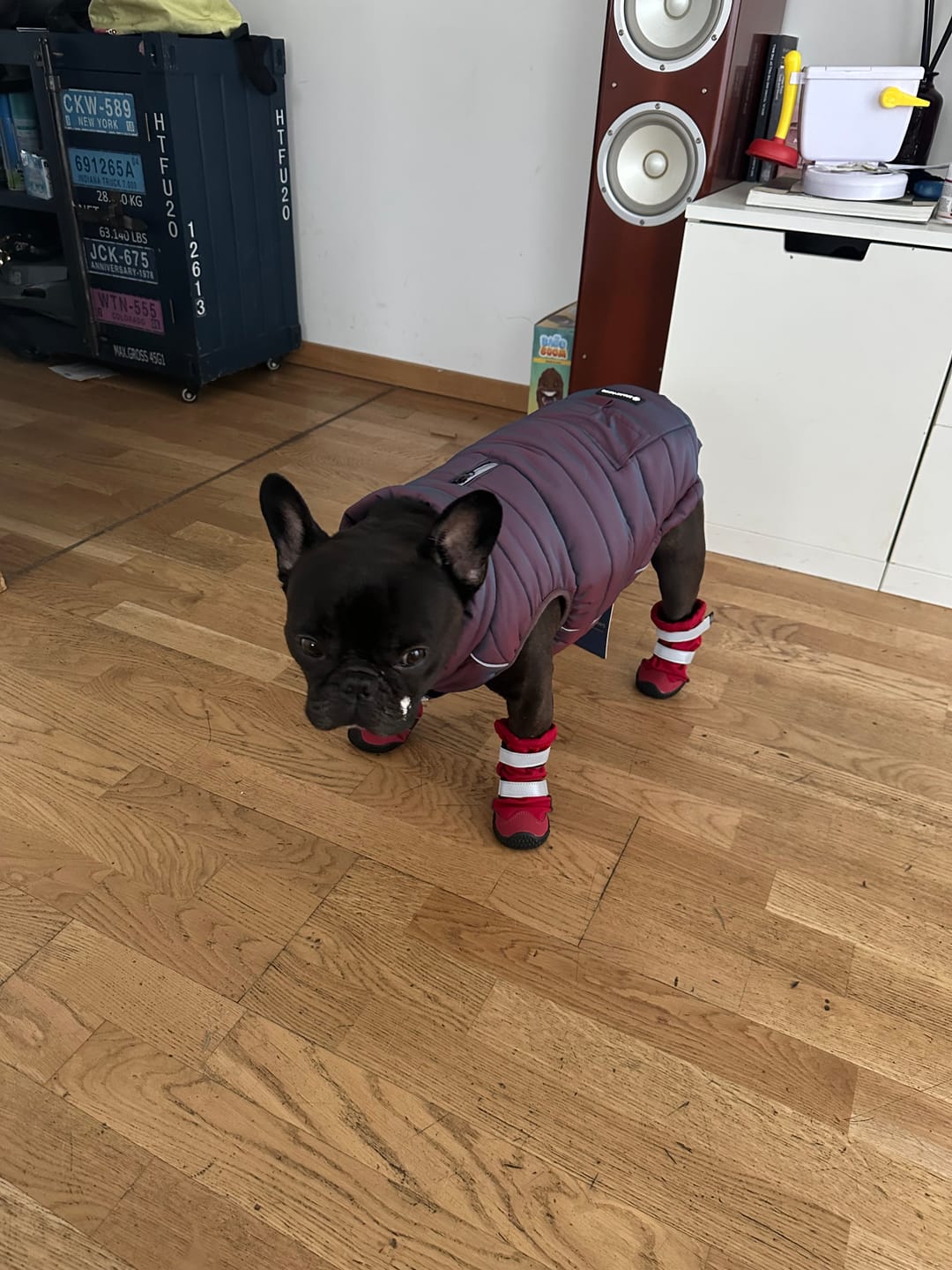 Customer photo review of WarmShield Water-Resistant Jackets