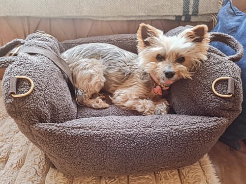 Customer photo review of Chocolate | The Cosy Car Seat