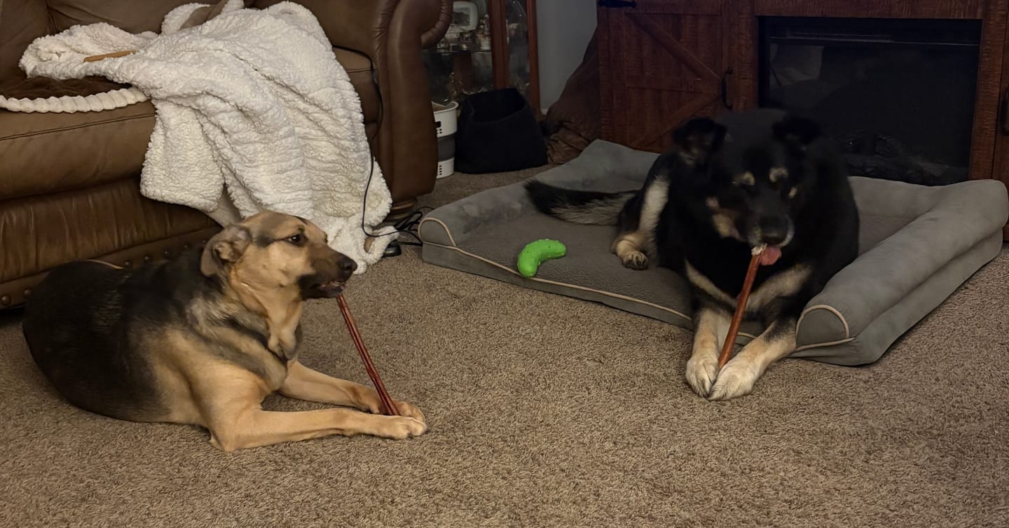 Customer photo review of Hickory Smoked Bully Sticks