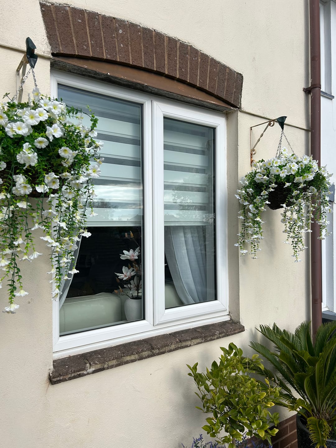 Customer photo review of Outdoor Hanging Petunia Basket - White