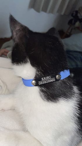 Customer photo review of Collar PVC Lavable Abrefácil (Gato)