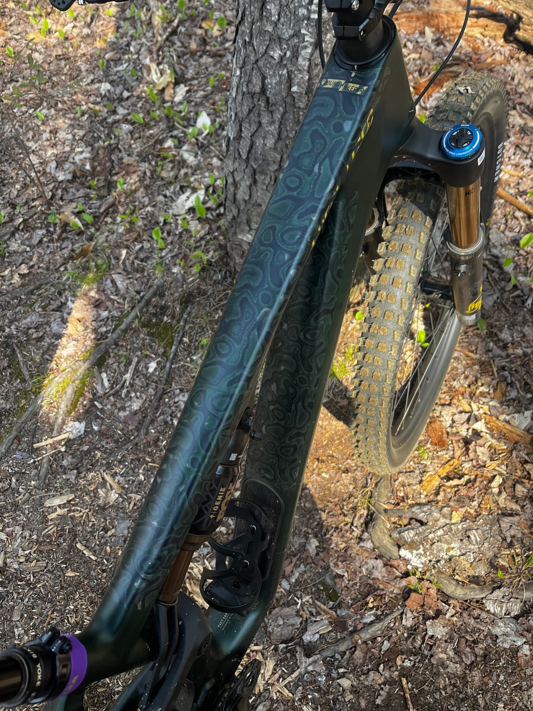 Customer photo review of Snake Charmer Frame Keeper