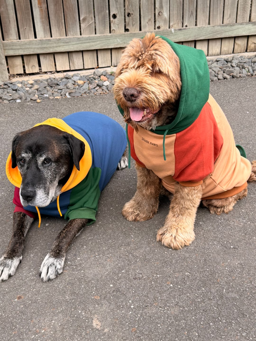 Customer photo review of Color Block Dog Hoodies