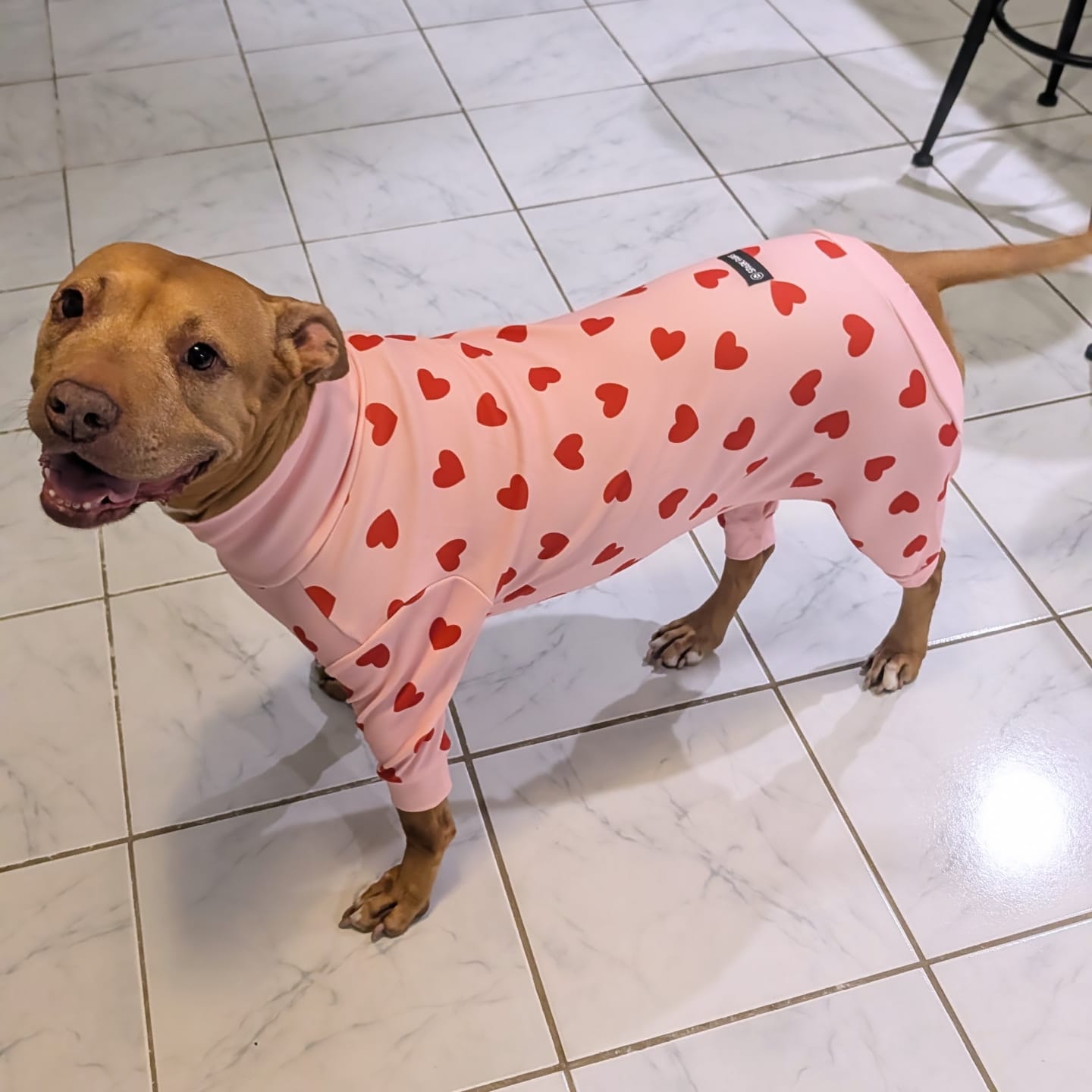 Customer photo review of Dog Pajama Prints