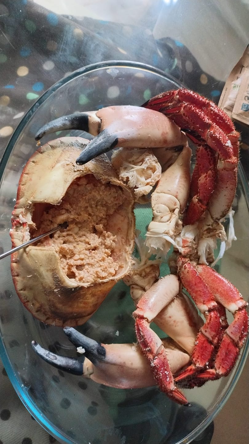 Customer photo review of Buey de mar