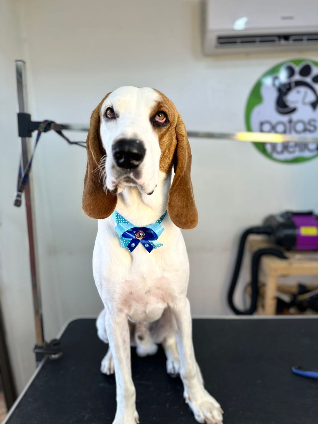 Customer photo review of PetFamily Foods
