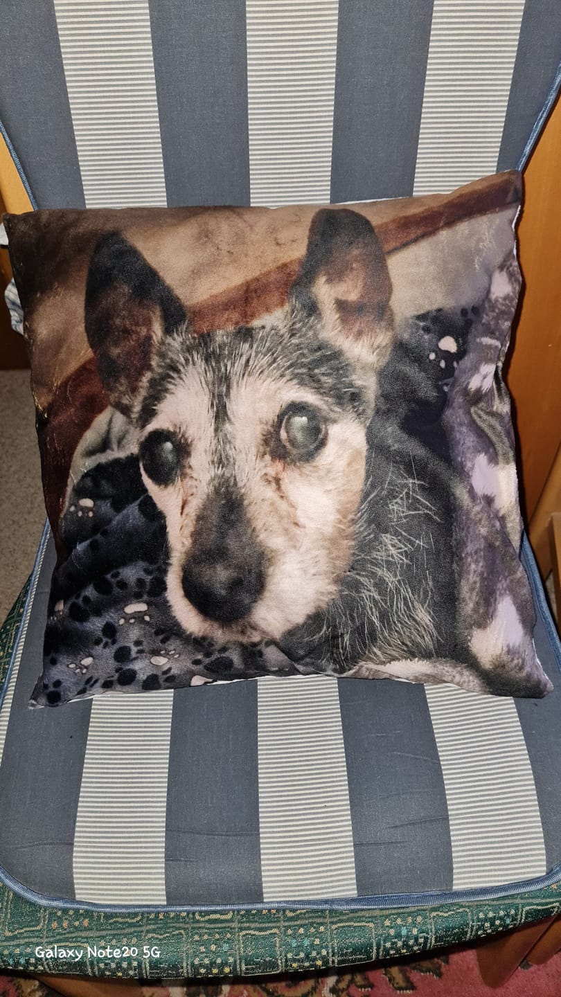 Customer photo review of Personalisiertes Kissen - Fotokissen