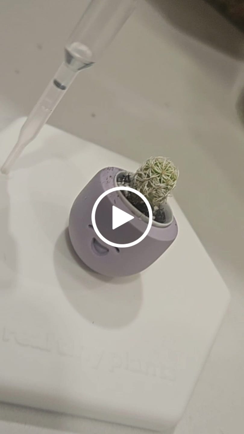 Customer video review of Little Lavender