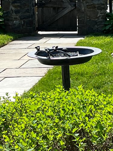 Customer photo review of Fontana Cast Iron Bird Bath with Solar Water Fountain Pump