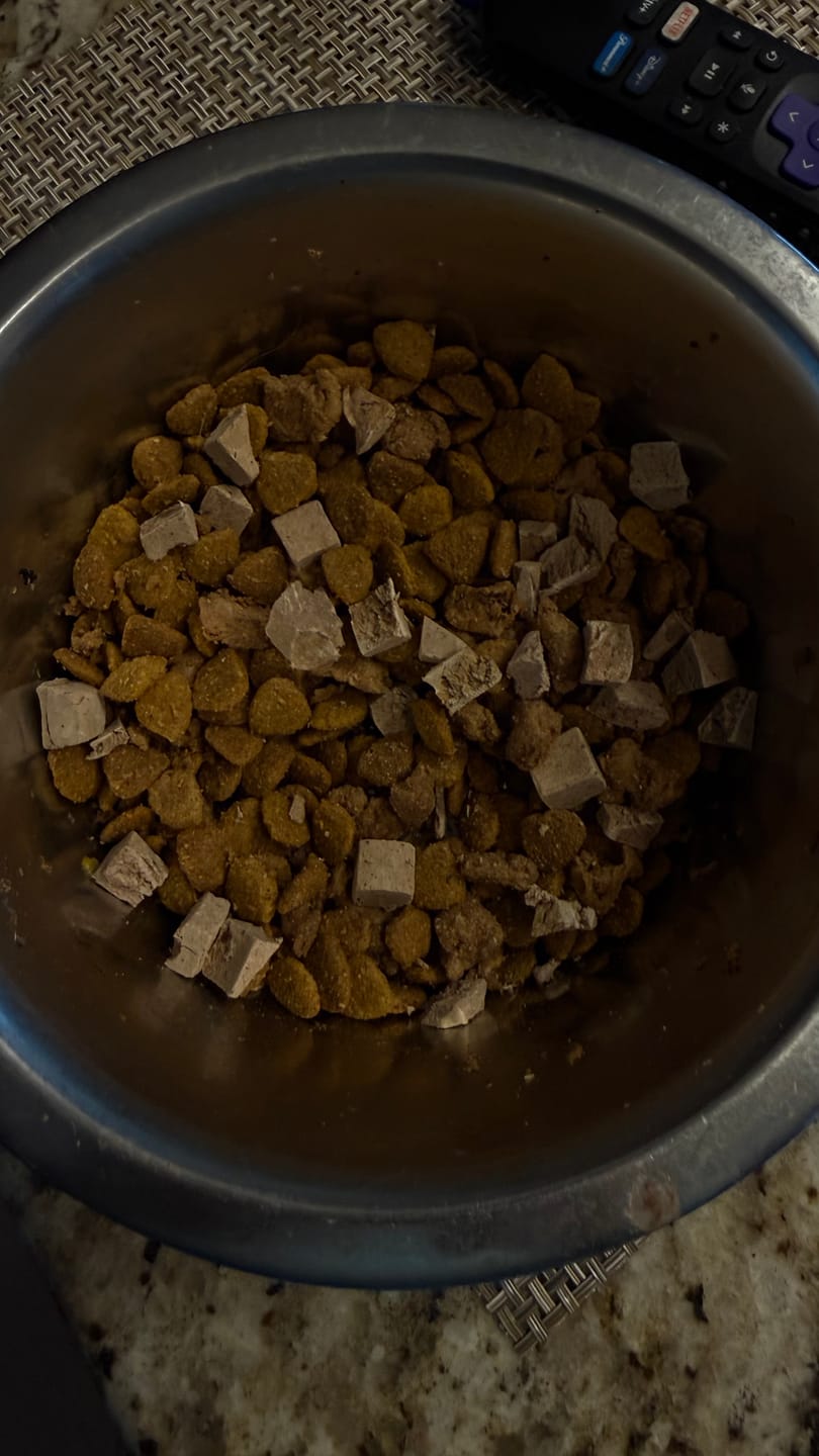 Customer photo review of Freeze-Dried Pure Beef Liver Bites