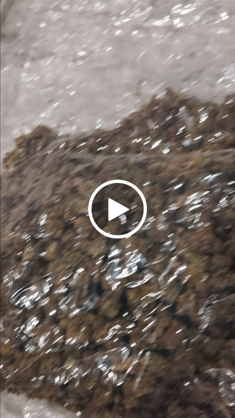 Customer video review of QP of Smalls - Bulk - 1/4 Pounds