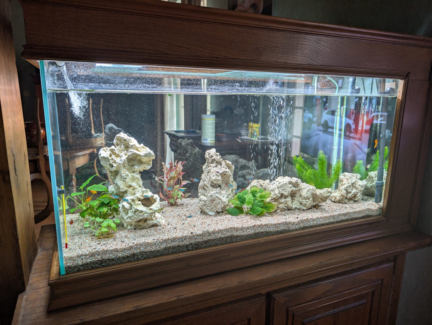 Customer photo review of Cuve Nue en Verre SCALARE - 200 L