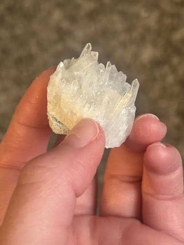 Customer holding a small, clear quartz crystal cluster in their hand.