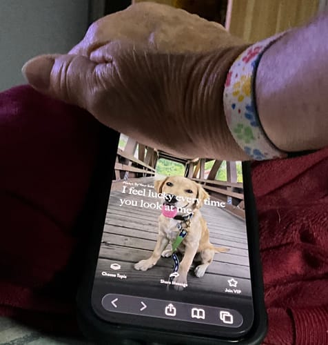 Customer wearing the colorful Always By Your Side Bracelet on their wrist, next to a phone displaying a picture of a dog.