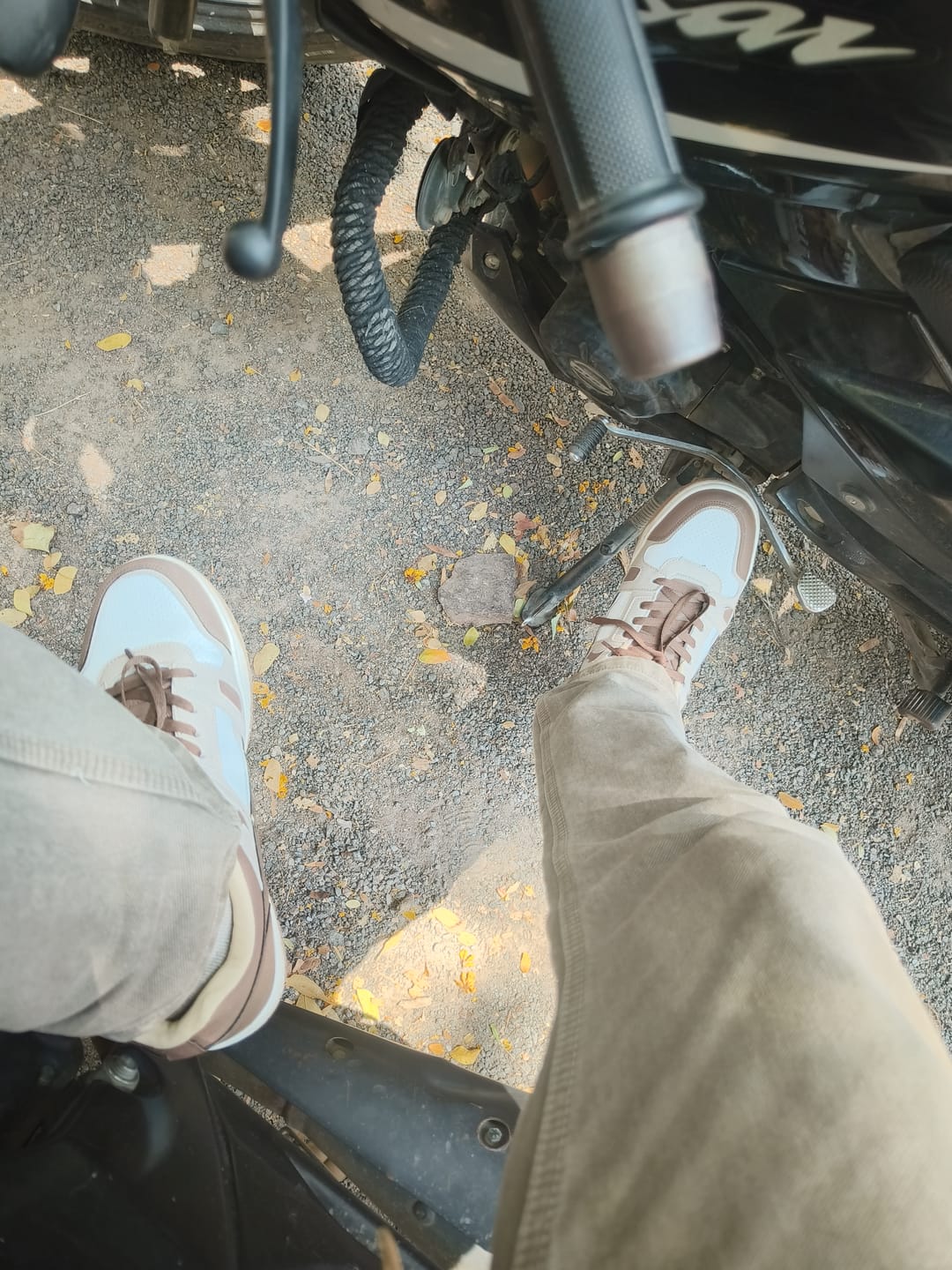 Customer photo review of ASH Beige Brown