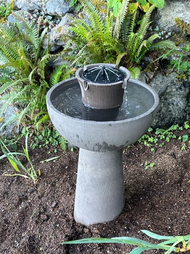 Customer photo review of Alba Cordless Fountain