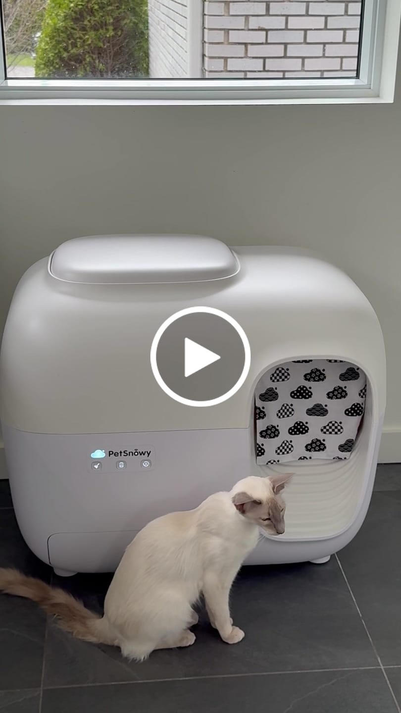 Customer video review of Self-Cleaning Litter Box