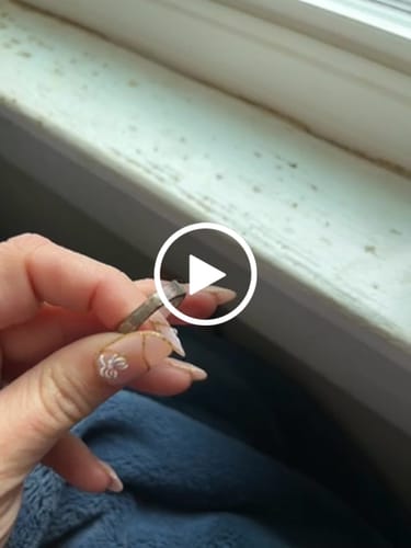 Customer video review of GOD'S PROMISE CROSS RING