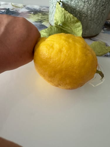 Rezensent vergleicht eine große Original Amalfi Bio-Zitrone mit einer Faust auf einem Tisch.