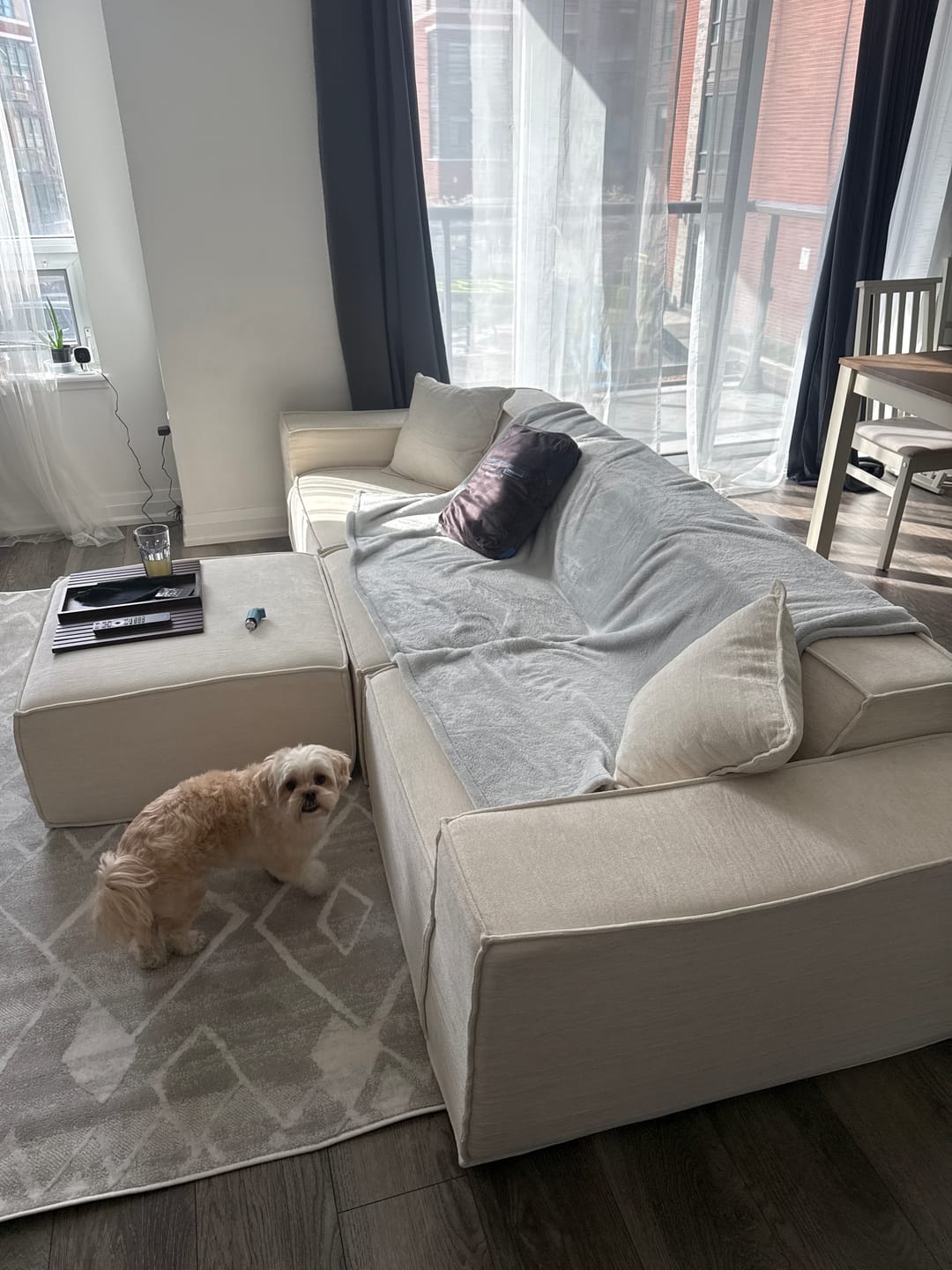 Customer photo review of M1 Sofa Sectional