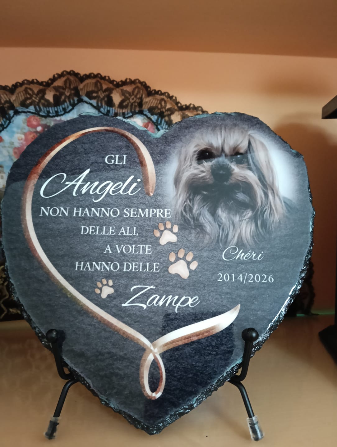Customer photo review of Supporto