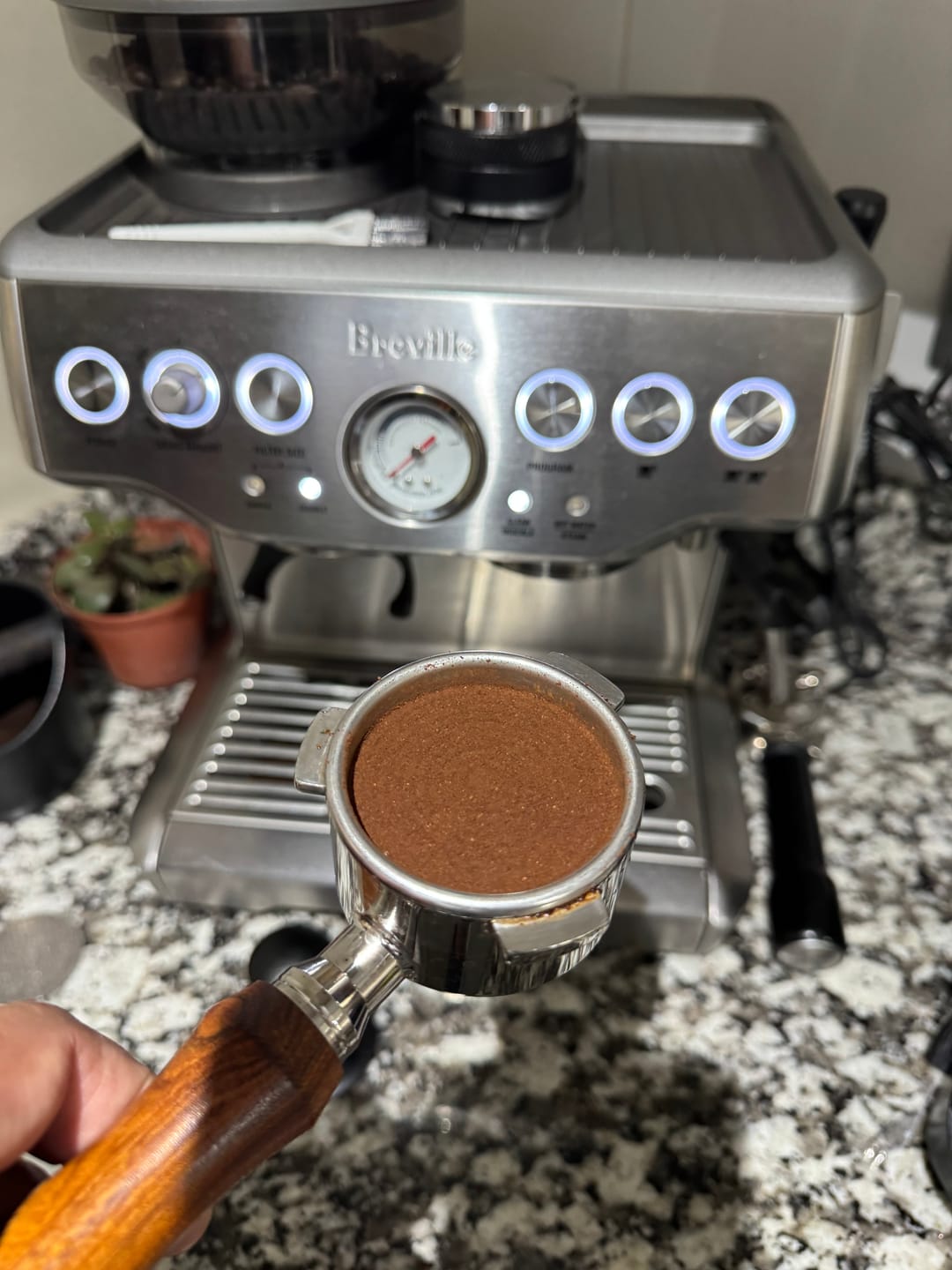 Customer photo review of Lucaffé | Mamma Lucia 1 kg grano entero