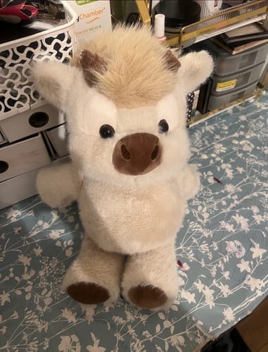 Customer photo review of Original Movito™ El peluche que corre