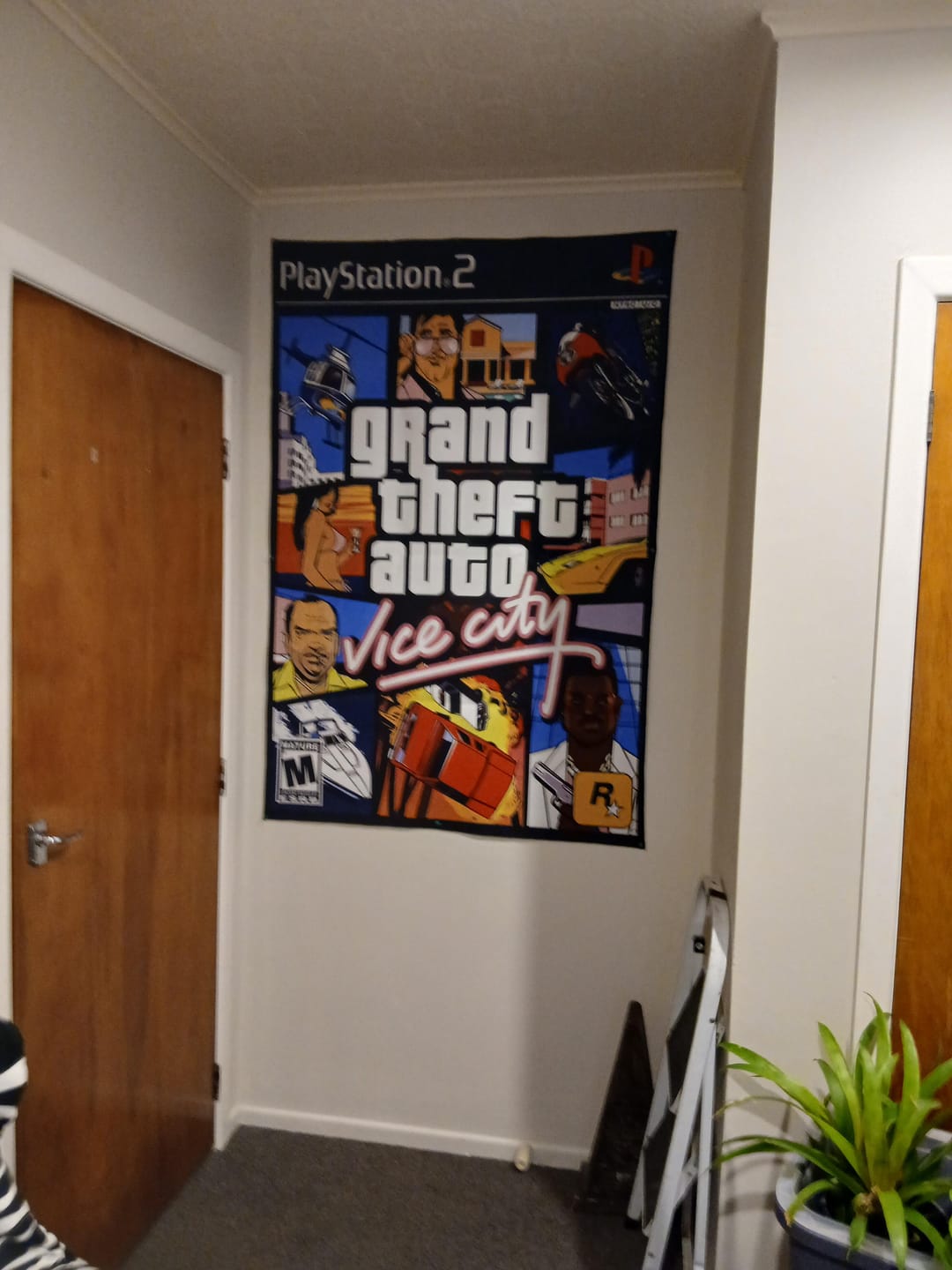 Customer photo review of GTA Vice City Rug – PS2/Xbox Video Game Cover Art