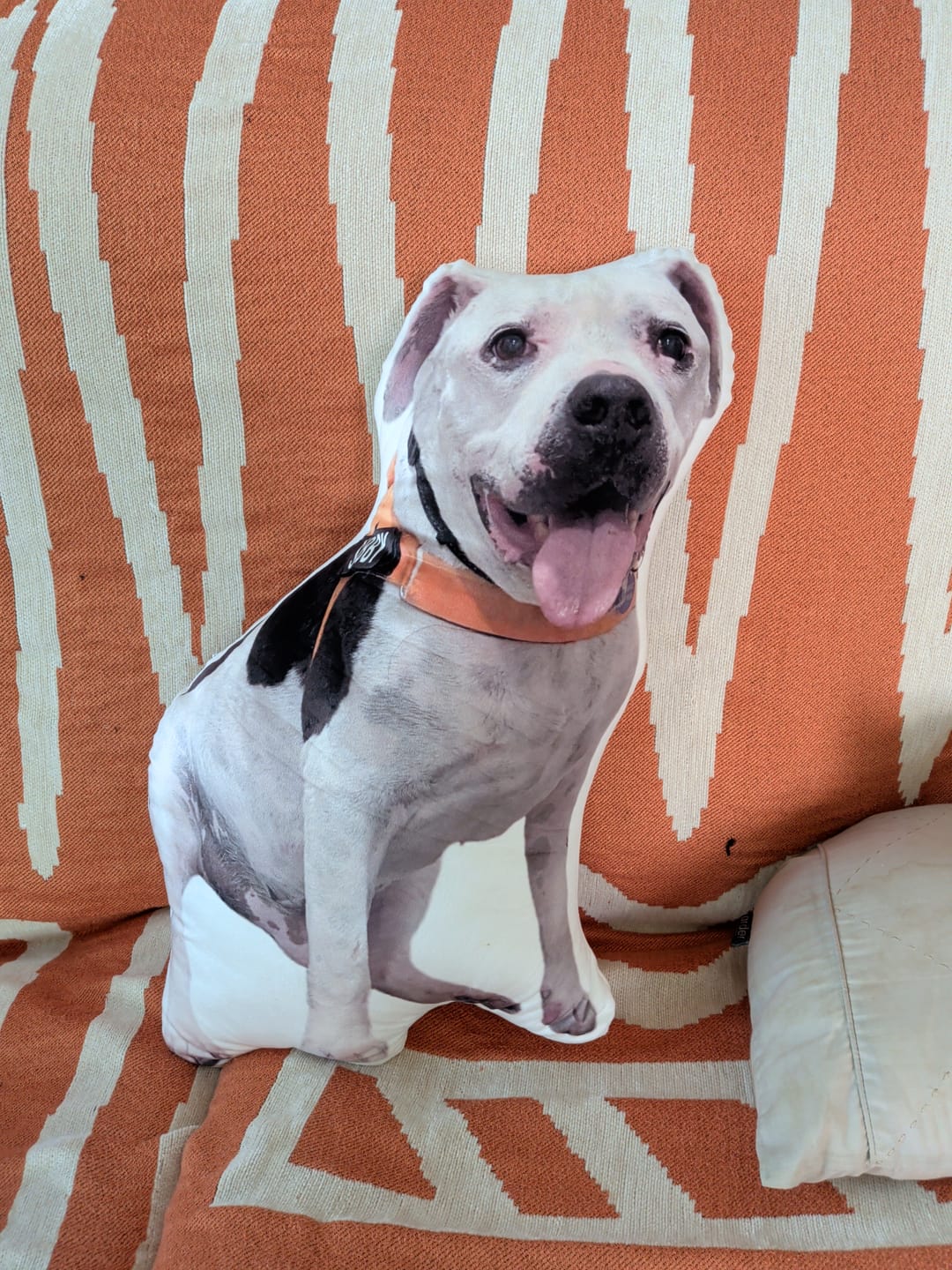 Customer photo review of Custom Dog Shaped Memorial Pillow for Pet Owners from Your Pet Picture