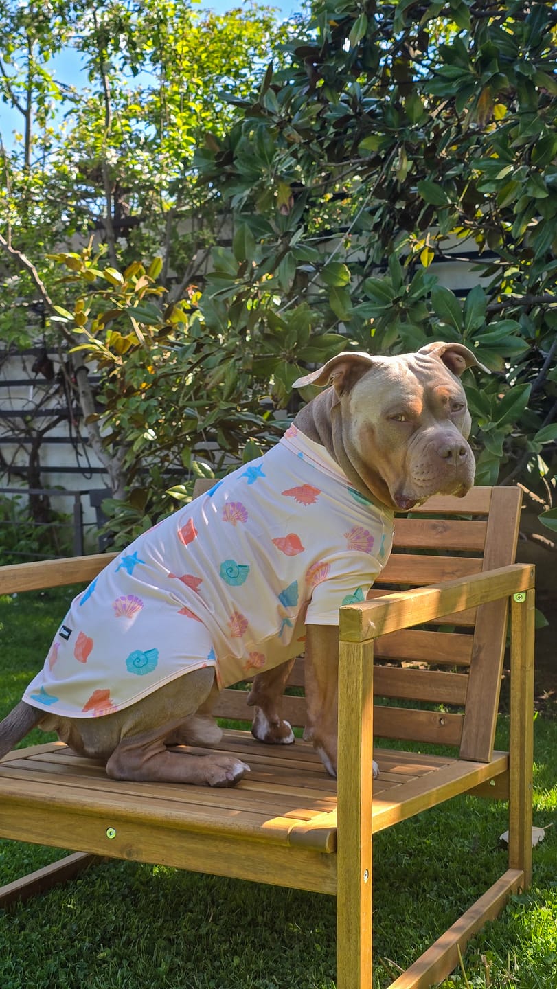Customer photo review of Sunblock Dog T-Shirt - Seashell
